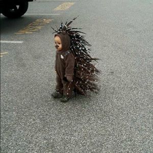 Meet your Posher, Edgar