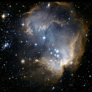 Meet your Posher, Janelle