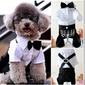 🔷SOLD🔷 Formal Dog Jumpsuit w/ Bow Tie