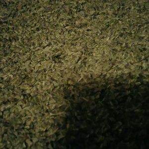 Meet your Posher, Rob