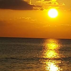 Meet your Posher, Lee