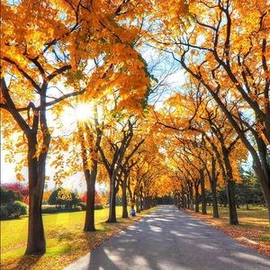 Meet your Posher, Stacy