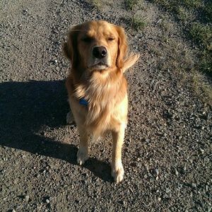 Meet your Posher, Desiree