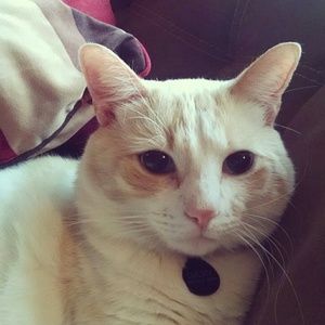 Meet your Posher, Stacey