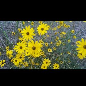 Meet your Posher, Audrey