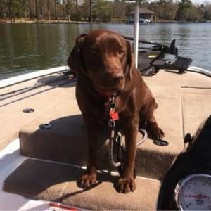 Meet your Posher, Catherine