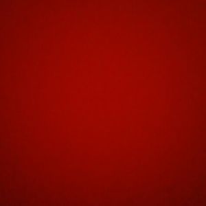 Meet your Posher, Eva