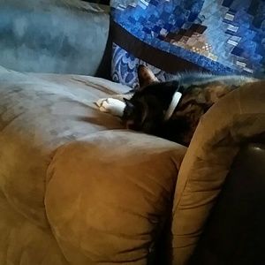 Meet your Posher, Amy