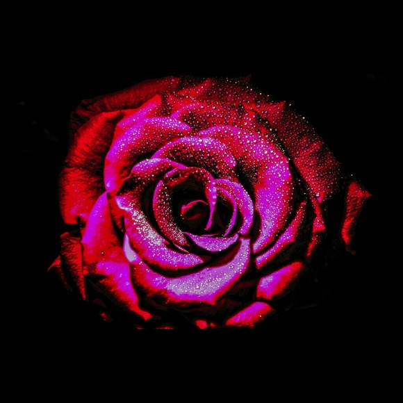 Meet your Posher, Crystal - Picture 1 of 1