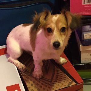 Meet your Posher, Andrea