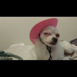 Meet your Posher, Debbie