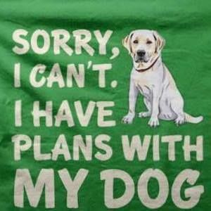 Meet your Posher, Lyn