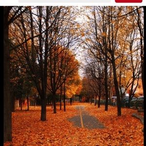 Meet your Posher, Jayneann