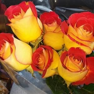 Meet your Posher, Anita