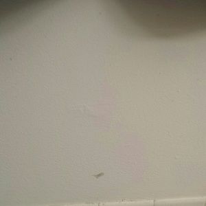 Meet your Posher, Alma