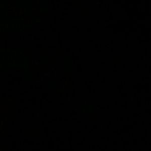 Meet your Posher, Leonor