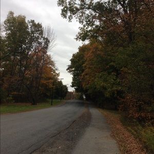 Meet your Posher, Lily