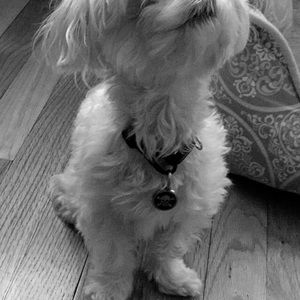 Meet your Posher, Maryjo