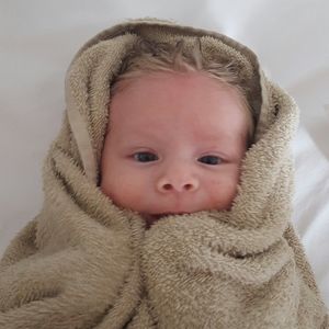 Meet your Posher, Milo