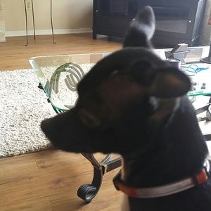 Meet your Posher, Laura