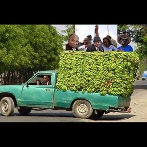 Meet your Posher, Harry