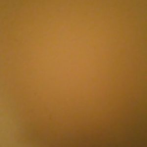 Meet your Posher, Wanda