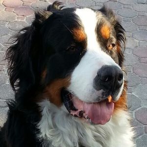 Meet your Posher, Audrey