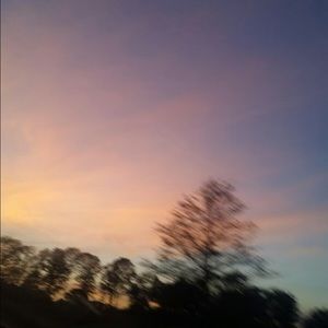 Meet your Posher, Reilly