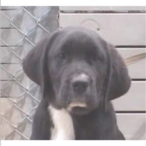 Meet your Posher, Jamie