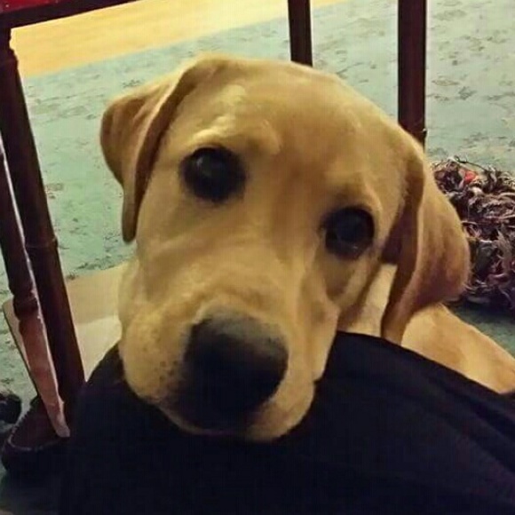 Posh Ambassador and Suggested User - Picture 5 of 5