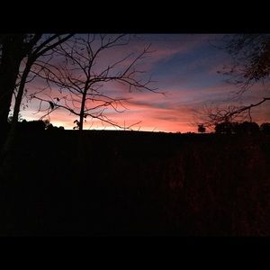 Meet your Posher, Jenn