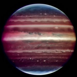 Meet your Posher, Chloe