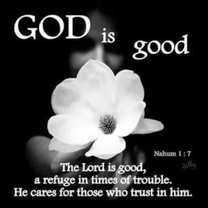 Meet your Posher, Darlyne