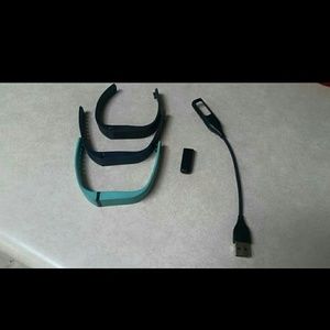 FitBit Flex