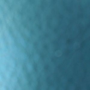 Meet your Posher, Darnell