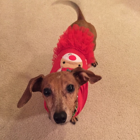 Hi I'm Jess, make me an offer!! - Picture 6 of 6