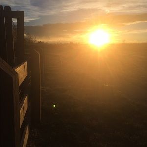 Meet your Posher, Tara