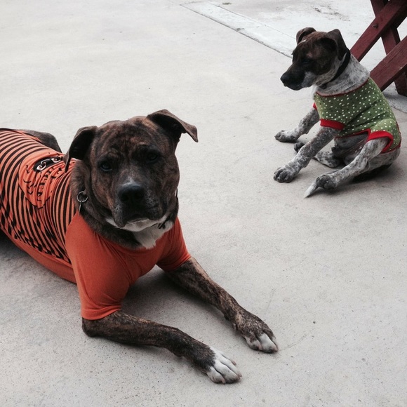 Meet your Posher, Serineh