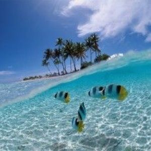 Meet your Posher, Angel