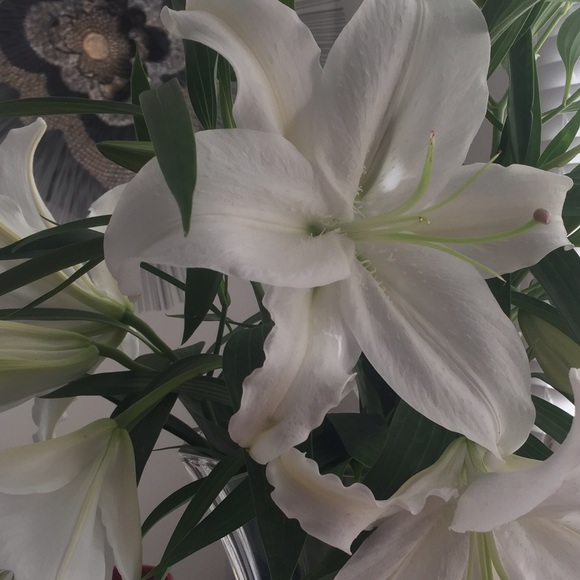 Meet the Posher - Picture 2 of 3