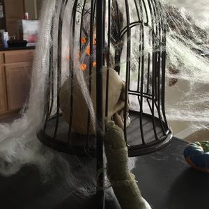 Meet your Posher, Sandi