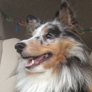 Meet your Posher, Heather