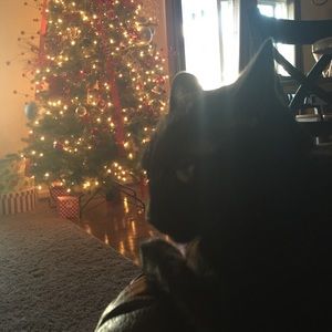 Meet your Posher, Kendall