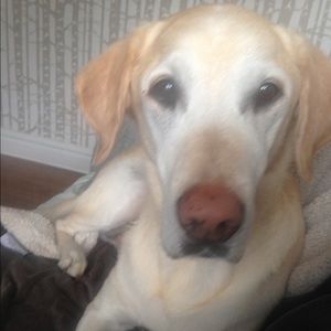 Meet your Posher, Laura