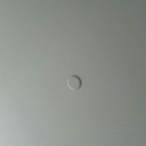 Meet your Posher, Will