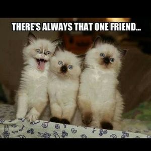 Meet your Posher, Shelly