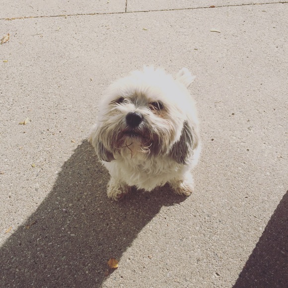 Meet your Posher, Kristin