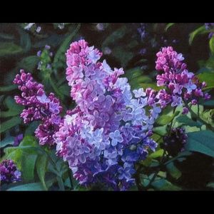 Meet your Posher, Kerry