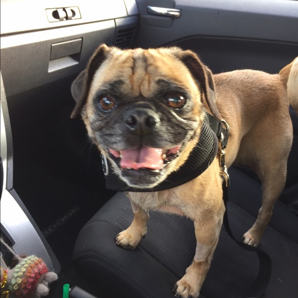 Meet your Posher, Marissa - Picture 1 of 1