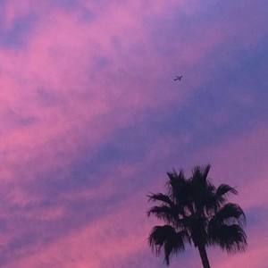 Meet your Posher, Destiny